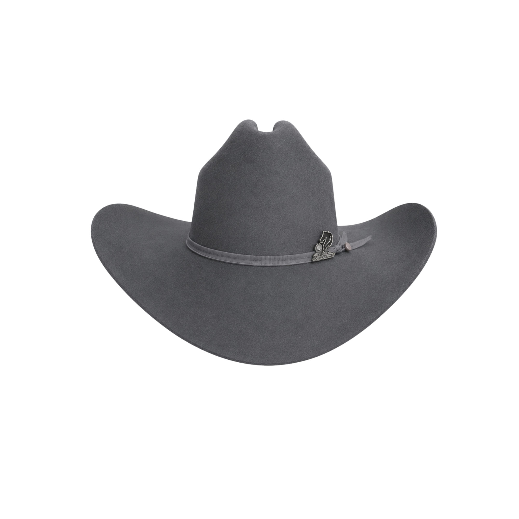 Borsalino cenizo