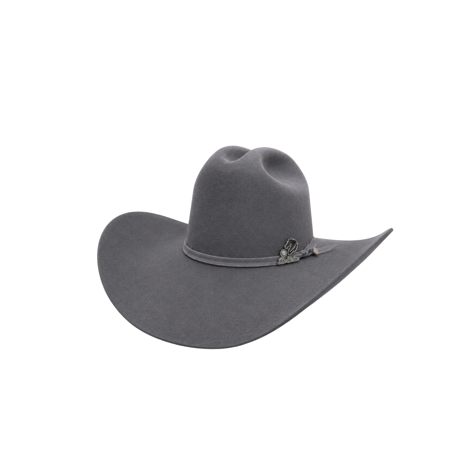 Borsalino cenizo
